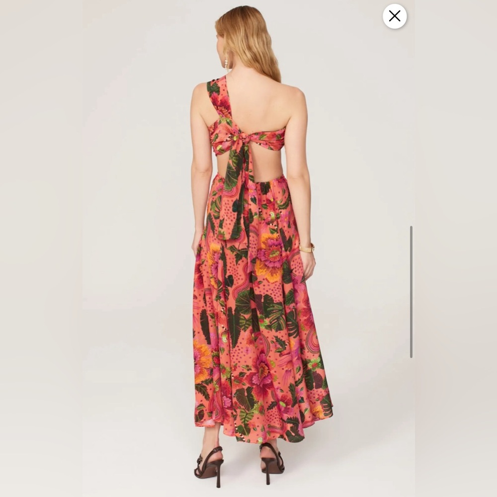 FARM Rio Blooming Garden One-Shoulder Maxi Dress - Picture 6 of 15